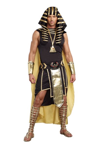 Dreamgirl Men’s Adult Fashion King of Egypt King Tut Costume, Gold